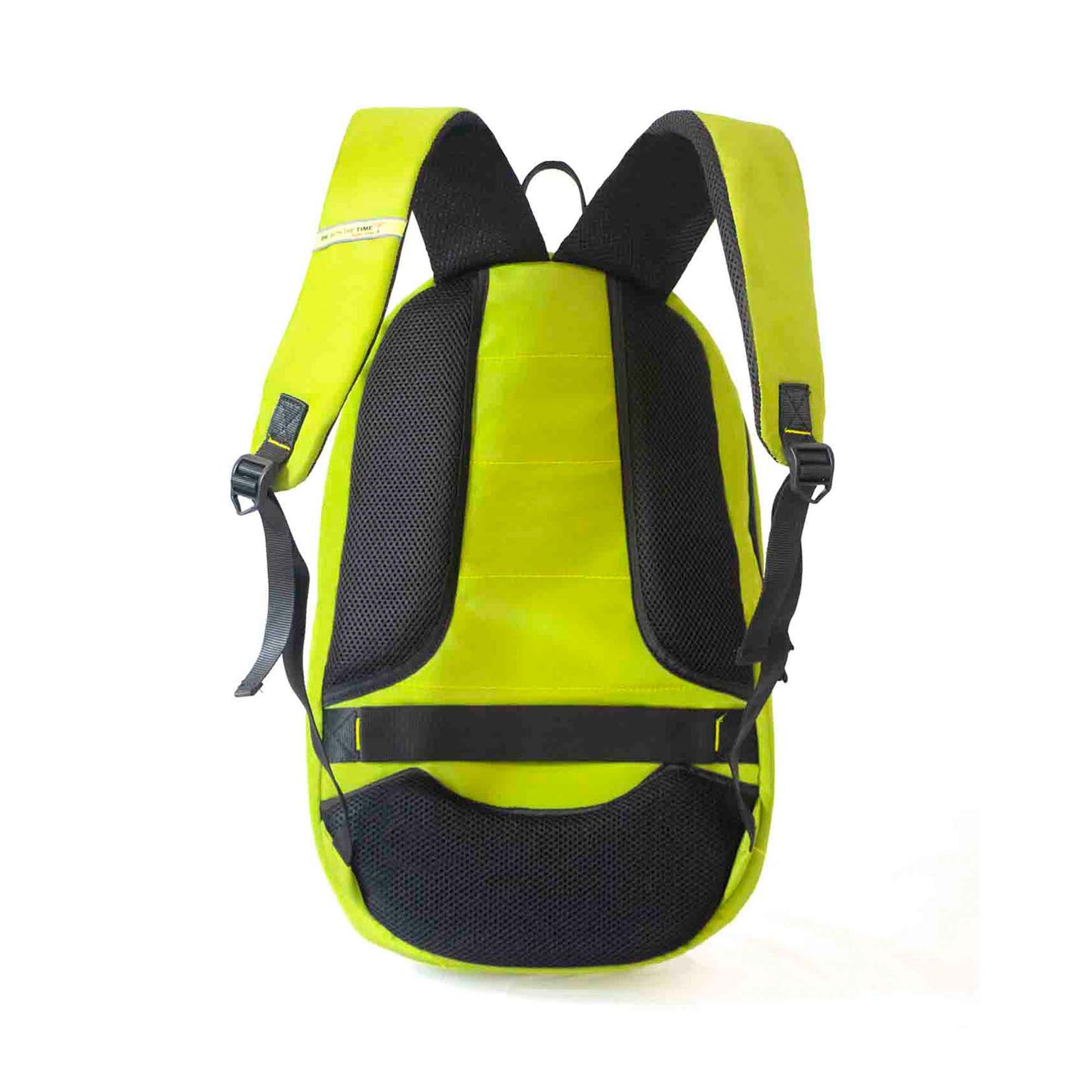 Back view of Timus Here I Am Backpack in green color, showing padded shoulder straps, breathable mesh back panel, and top haul loop for comfortable carrying.