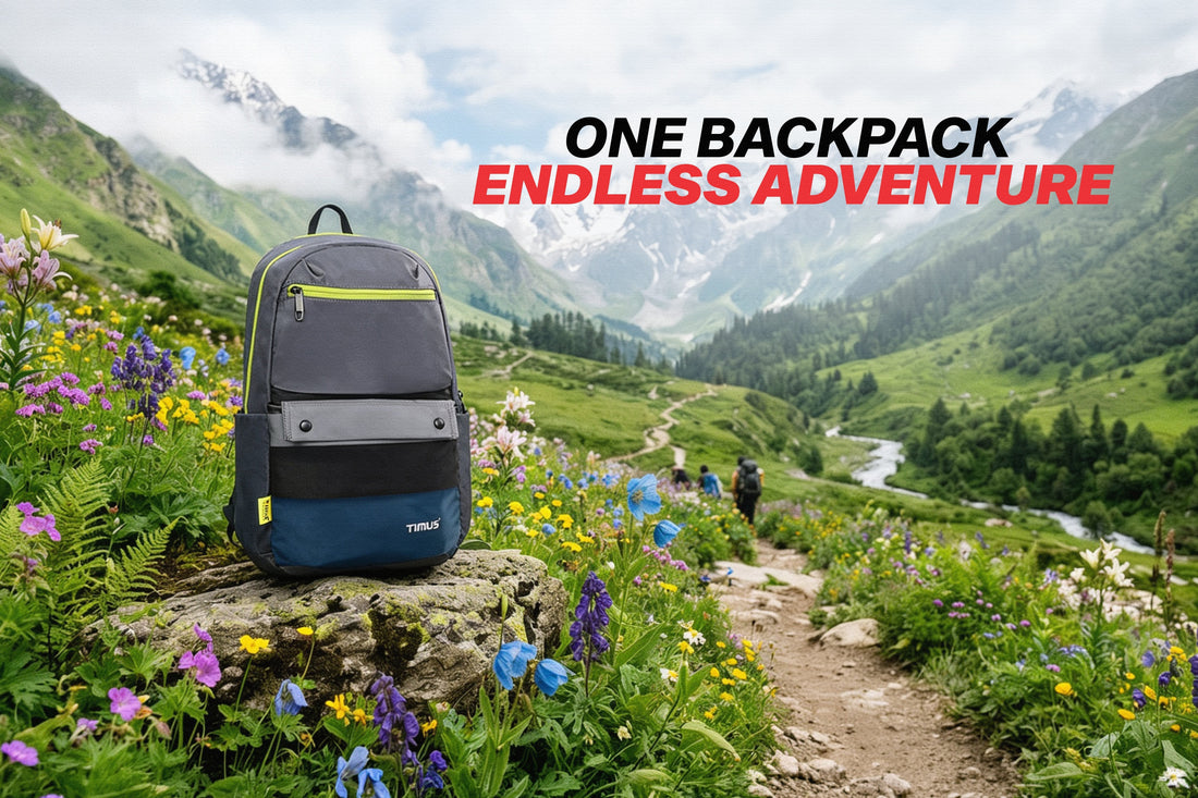 Adventure Backpacks 