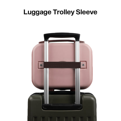 Aegis Vanity Case