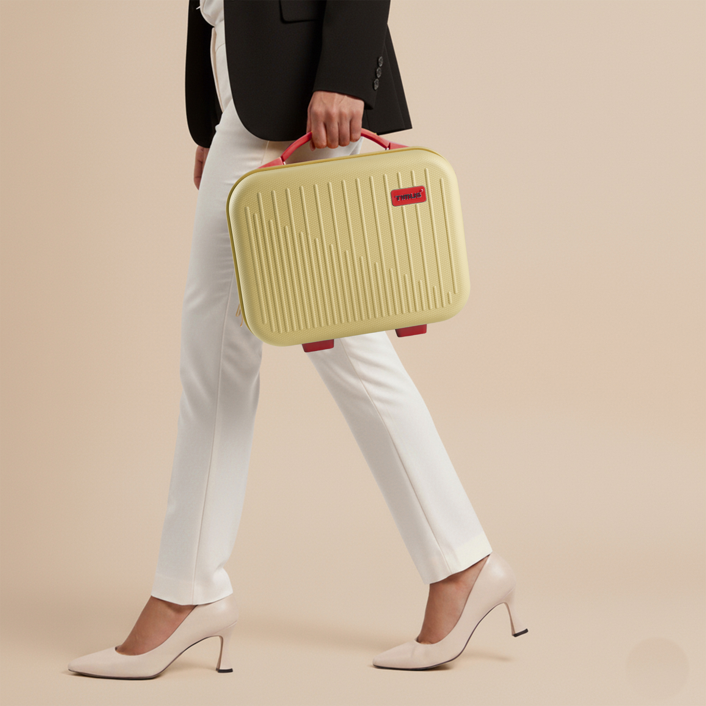 Aegis Vanity Case